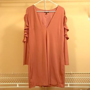 Express Long Sleeve Dark Blush Dress